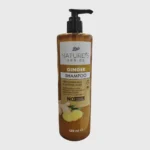 Boots Natures Series Ginger Shampoo 480ml